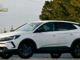 Opel Grandland 1.5CDTi S& Business Edition Aut. 130